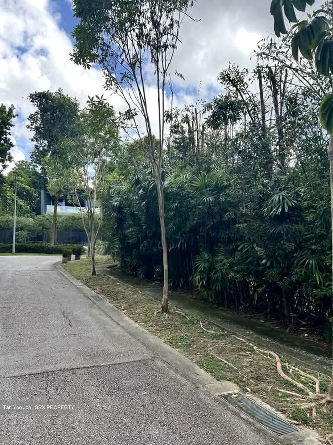 Morley Road (D10), Detached #556216301